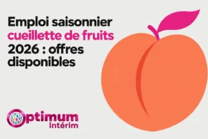 Emploi saisonnier cueillette de fruits 2026 : offres disponibles, pictogramme d’orange fruit tree et logo Optimum Intérim, vue d’ensemble colorée.