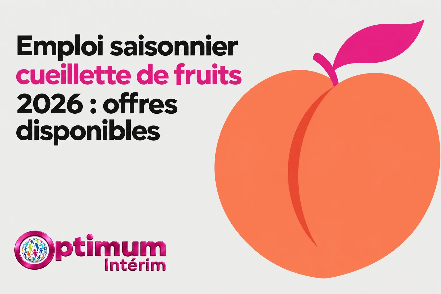 Emploi saisonnier cueillette de fruits 2026 : offres disponibles, pictogramme d’orange fruit tree et logo Optimum Intérim, vue d’ensemble colorée.