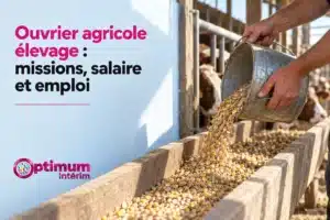 Légende: un ouvrier agricole verse du maïs dans une mangeoire pour les animaux.